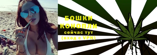 тгк Новозыбков