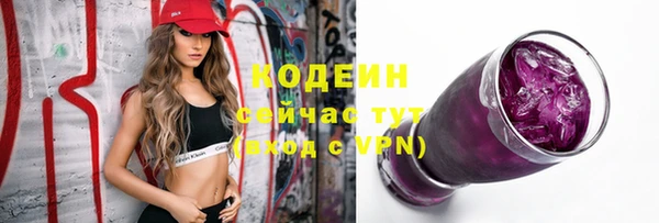 тгк Новозыбков