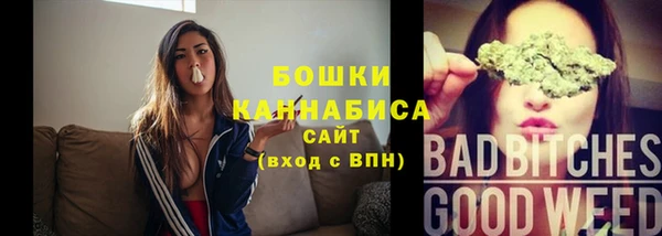 ПСИЛОЦИБИНОВЫЕ ГРИБЫ Новодвинск