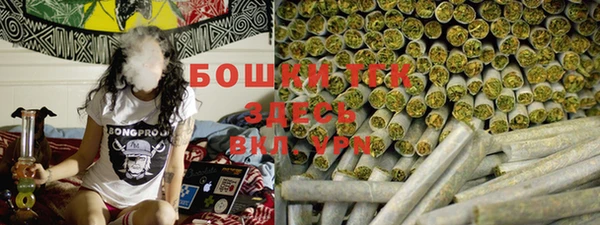ПСИЛОЦИБИНОВЫЕ ГРИБЫ Новодвинск