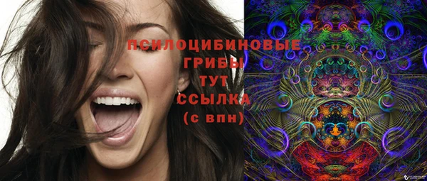 тгк Новозыбков