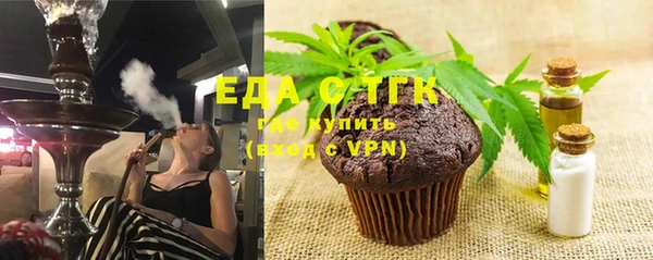 тгк Новозыбков