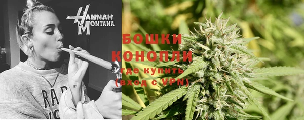 ПСИЛОЦИБИНОВЫЕ ГРИБЫ Новодвинск