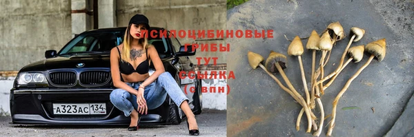 ПСИЛОЦИБИНОВЫЕ ГРИБЫ Новодвинск