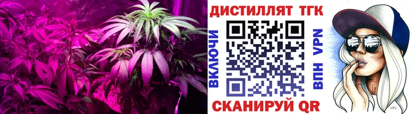 ТГК вейп  Большой Камень 