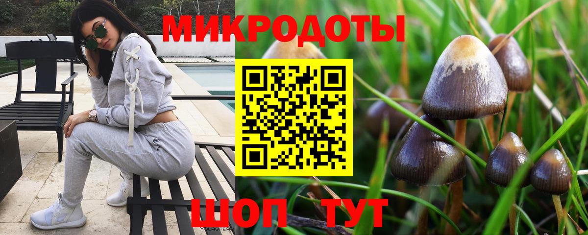 Псилоцибиновые грибы GOLDEN TEACHER  Псилоцибиновые грибы ЛСД  Большой Камень  Вход с VPN 