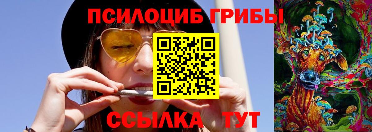 Галлюциногенные грибы мухоморы Большой Камень